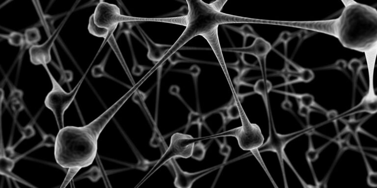 La ETSII en el proyecto Cerebro Humano