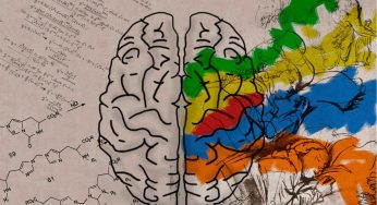 Aprendiendo y enseñando a ser creativo