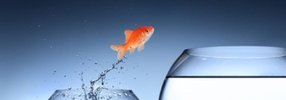 Calidad_Abet_Aneca_Industriales