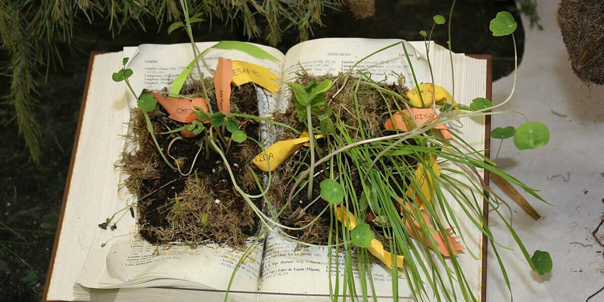 naturaleza_del_libro