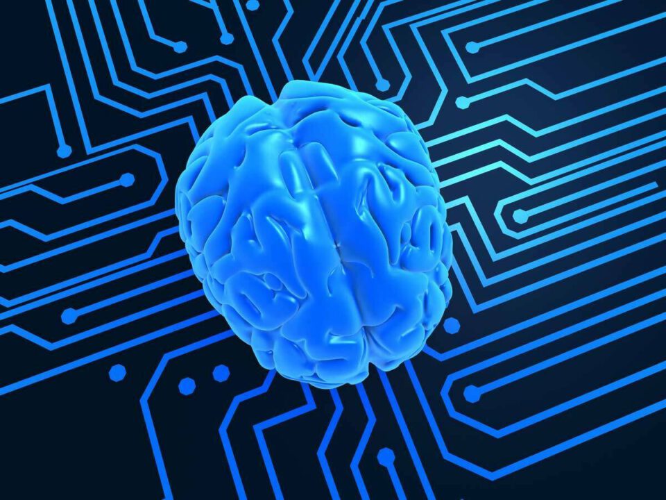 neurociencia_seguridad_industrial