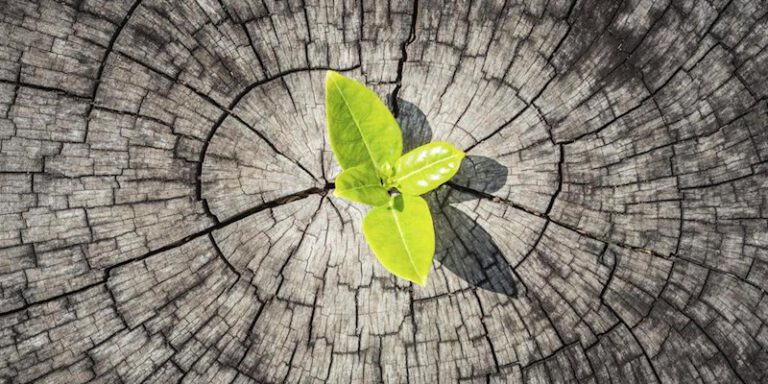 aceptacion adaptacion cambios emocional