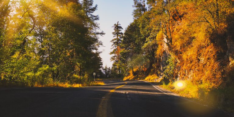 prudencia camino nueva normalidad