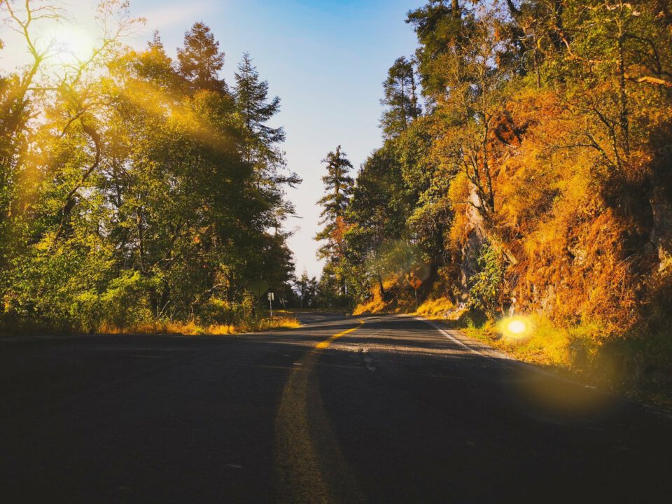 prudencia camino nueva normalidad