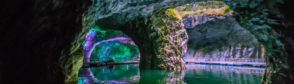 AdobeStock_166051755-1-1500×430