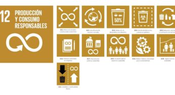 ODS 12: Producción y consumo responsables.