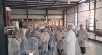 Visitas a empresas: García Carrión, Solaria y Talgo.